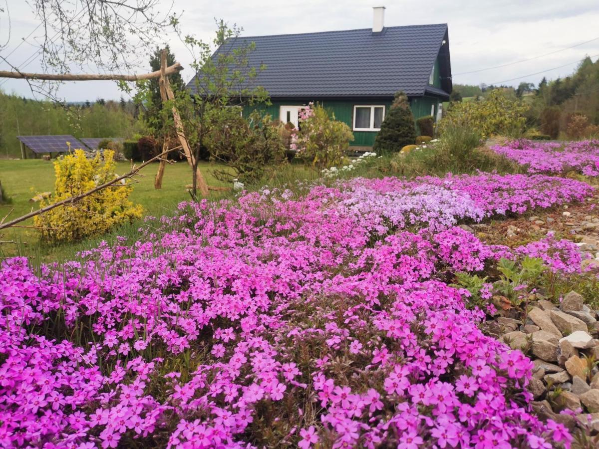 Zielony Zakatek Ciezkowice Exterior foto