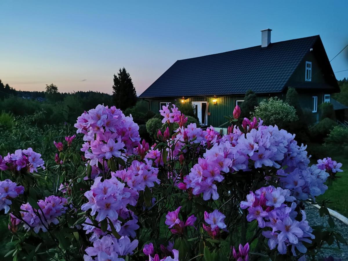 Zielony Zakatek Ciezkowice Exterior foto